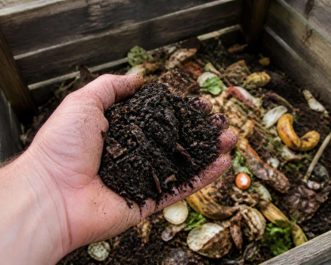 découvrez comment choisir le bac à compost idéal pour votre jardin afin de valoriser vos déchets organiques et enrichir naturellement votre sol.
