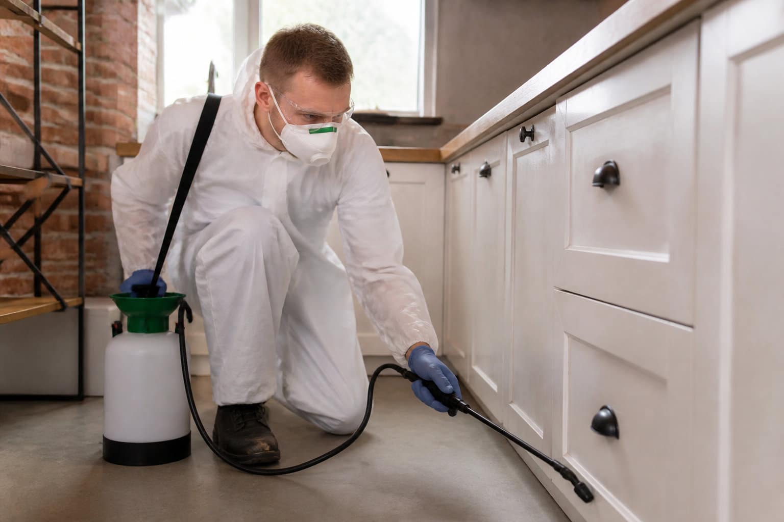 Faire appel à un expert pour une destruction efficace